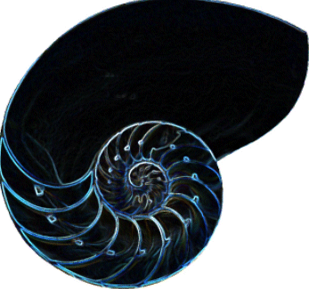 Ŭ¸¯ÇÏ¸é ±×¸²À» È®´ëÇØ¼ º¼ ¼ö ÀÖ½À´Ï´Ù.