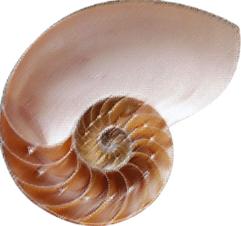 Ŭ¸¯ÇÏ¸é ±×¸²À» È®´ëÇØ¼ º¼ ¼ö ÀÖ½À´Ï´Ù.